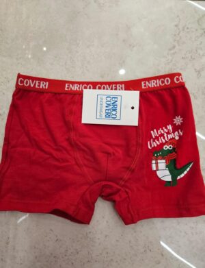 Boxer natalizio ENRICO COVERI